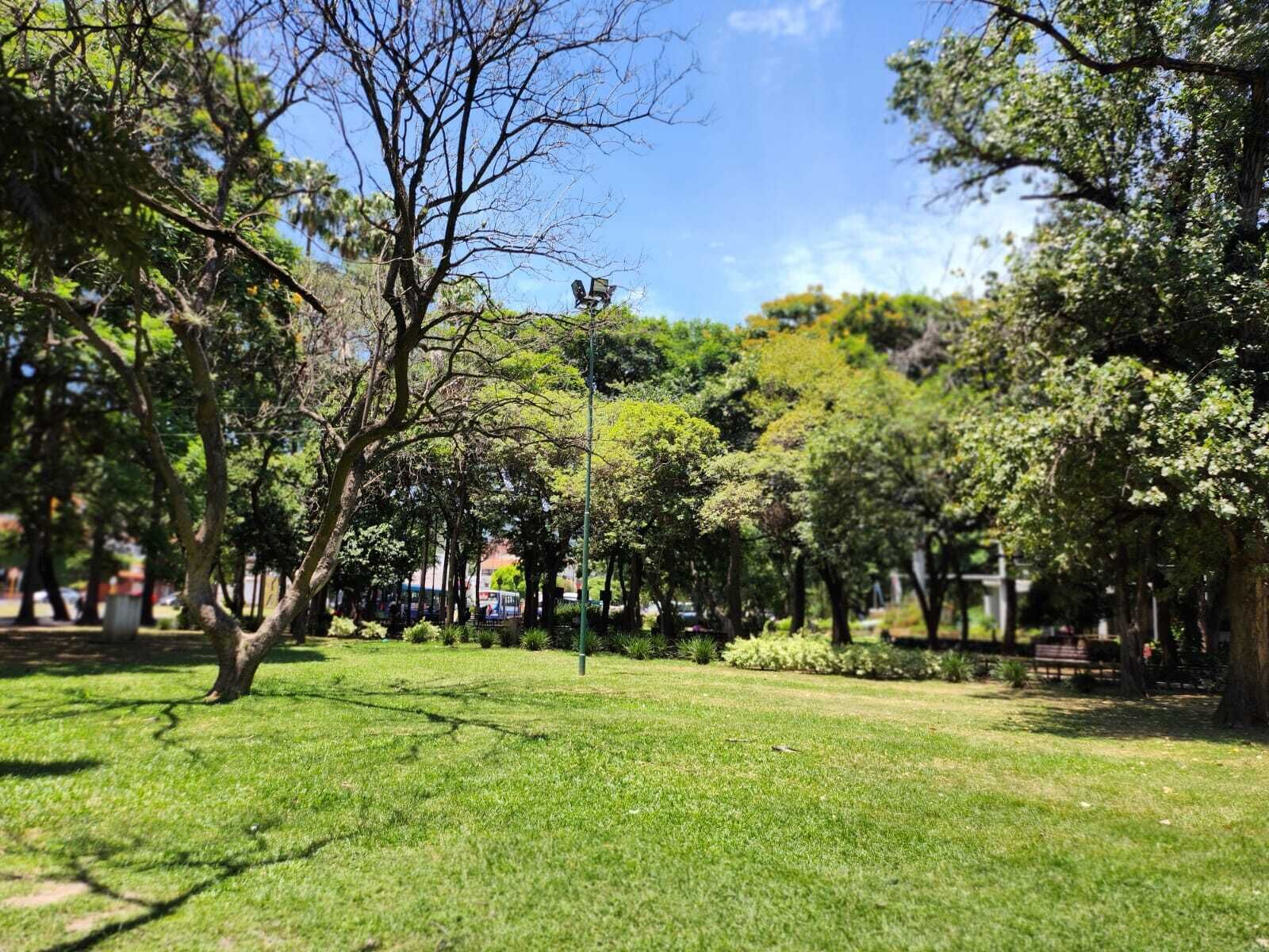 Un parque con césped, árboles y un banco.