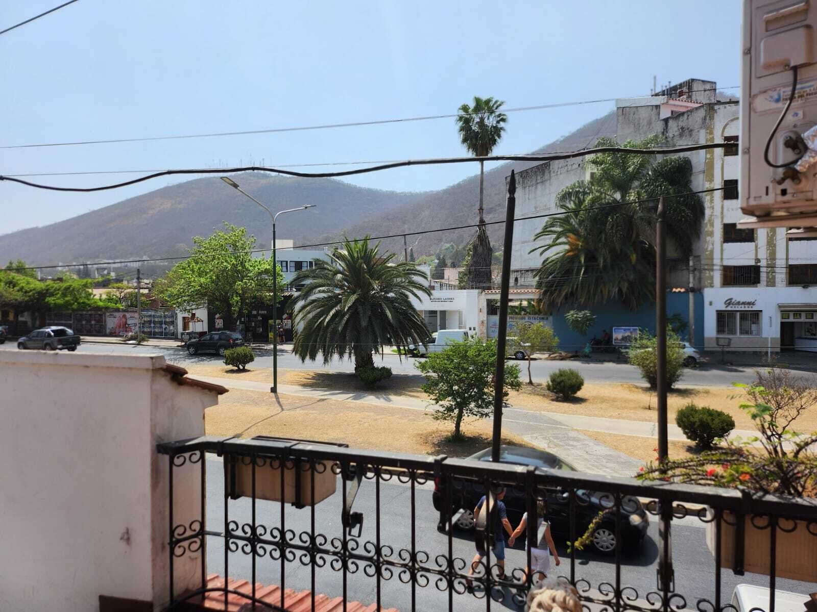 A street view with a mountain in the background, palm trees, and buildings with signage.