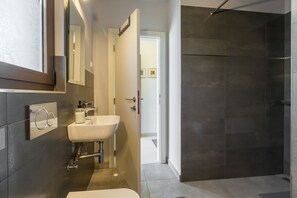 Shower, hair dryer, towels - Picturesque villa with private pool, Mediterranean garden, outdoor kitchen, air conditioning, WiFi (Visnjan)