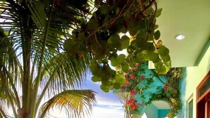 A lush garden with a palm tree, various plants, and a blue building with a door.
