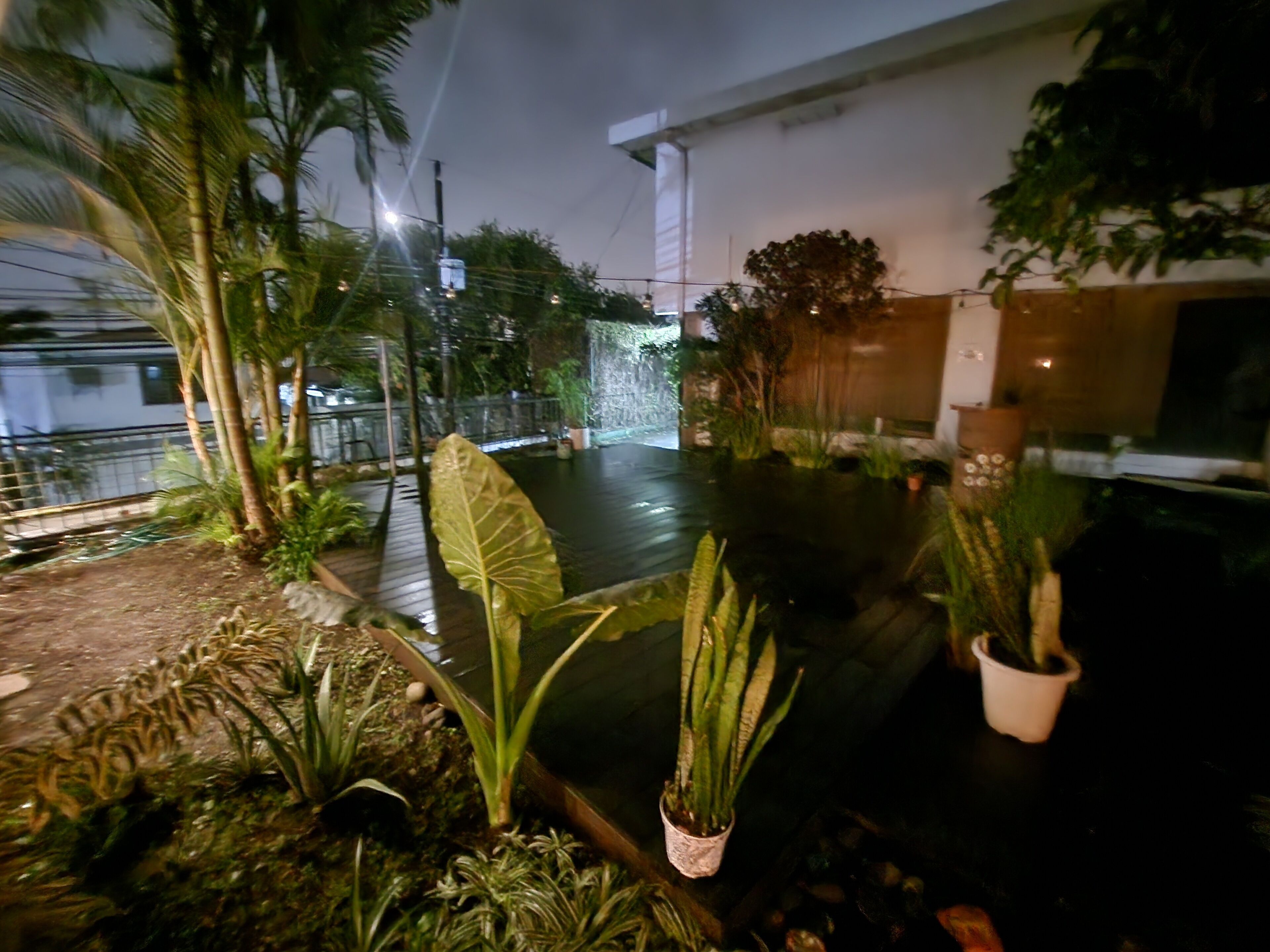 Habitación doble Deluxe | Terraza o patio