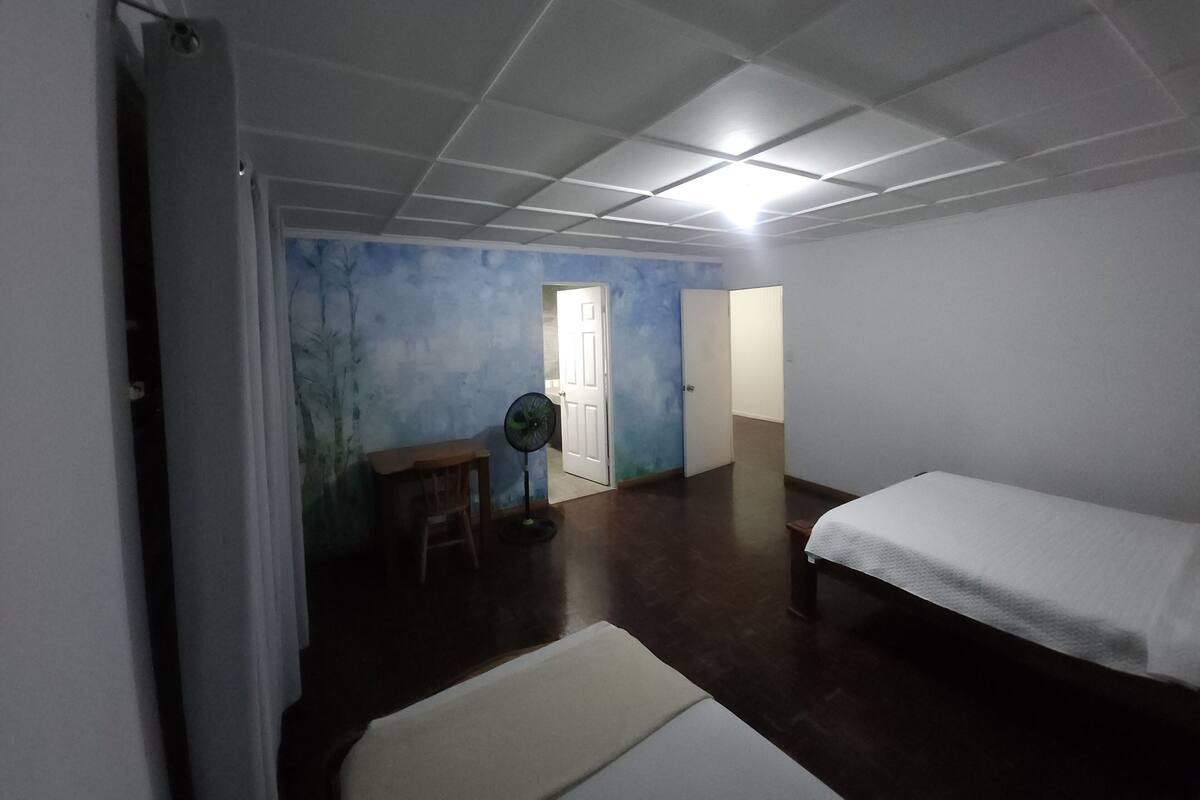 Une pièce avec un lit, un ventilateur, une porte et un mur orné d’un motif bleu.