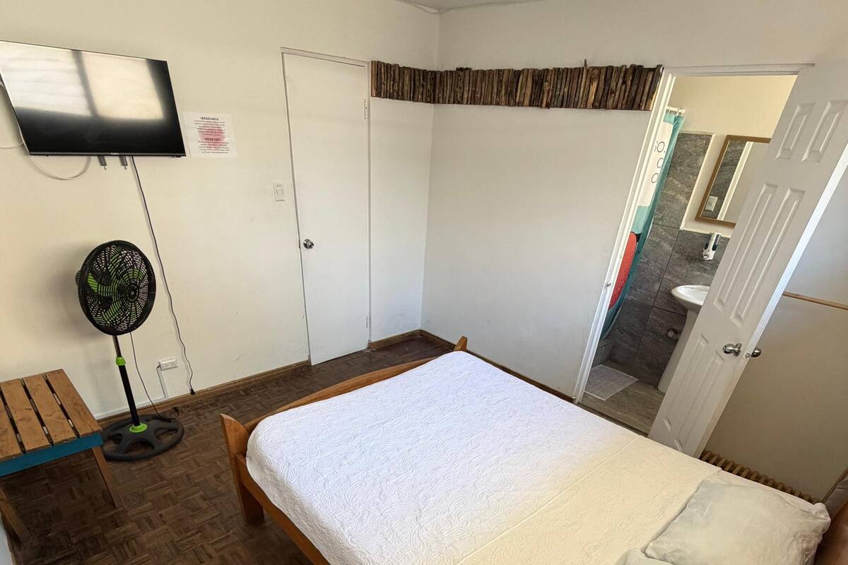 Une chambre à coucher comprenant un lit, une table de chevet, un ventilateur, une télévision et une porte donnant sur une salle de bain.
