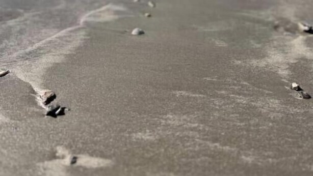 Una playa arenosa con huellas que conducen al agua.