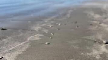 海滩