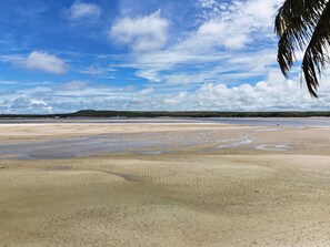 Enjoy a serene beach experience with shallow waters and a natural boundary of trees.