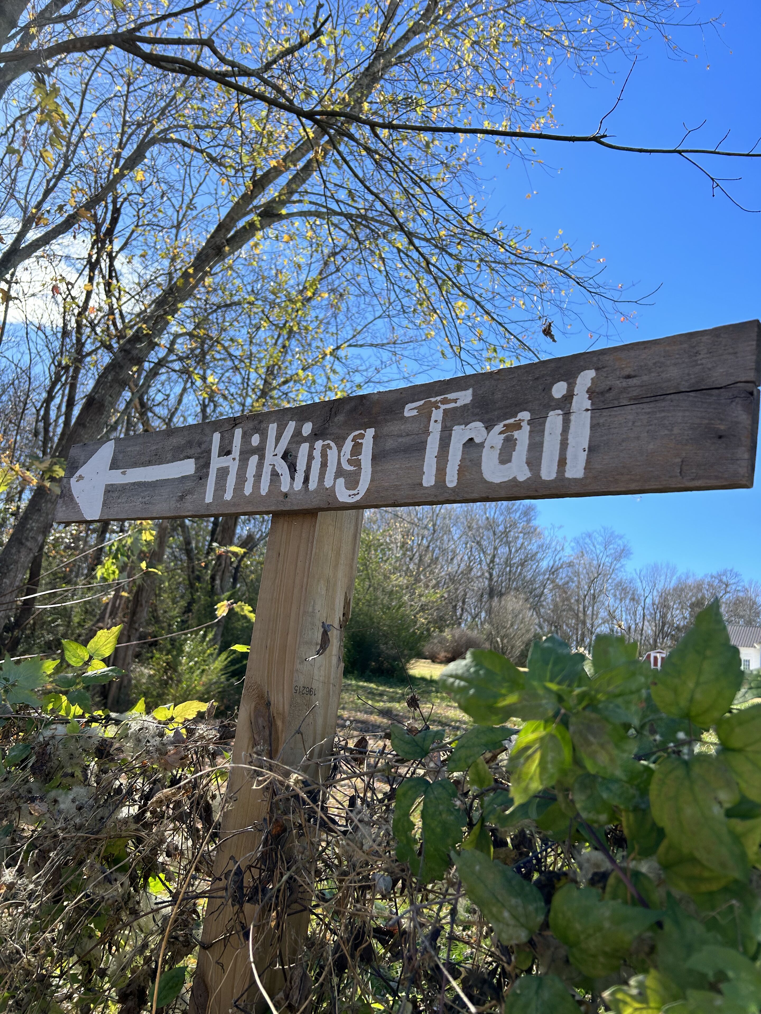 A wooden hiking trail sign with an arrow pointing to the left.