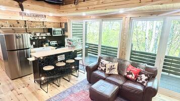 Smart TV, fireplace, books, music library