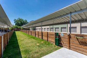 Apartment | 1 bedroom, Internet - Downtown Modern Bungalow (Dallas)