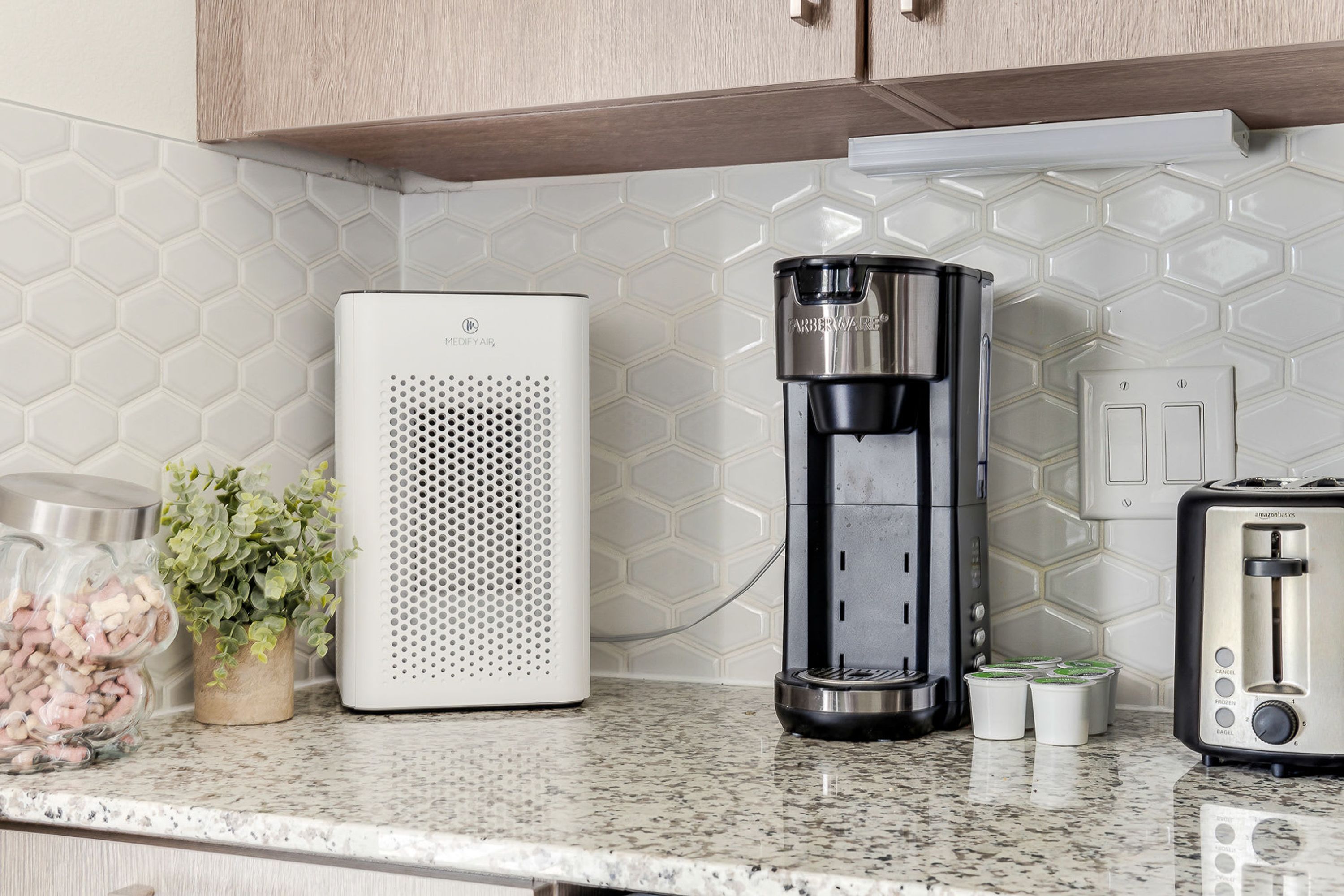 A kitchen with a coffee maker, a toaster, and a potted plant on the counter.