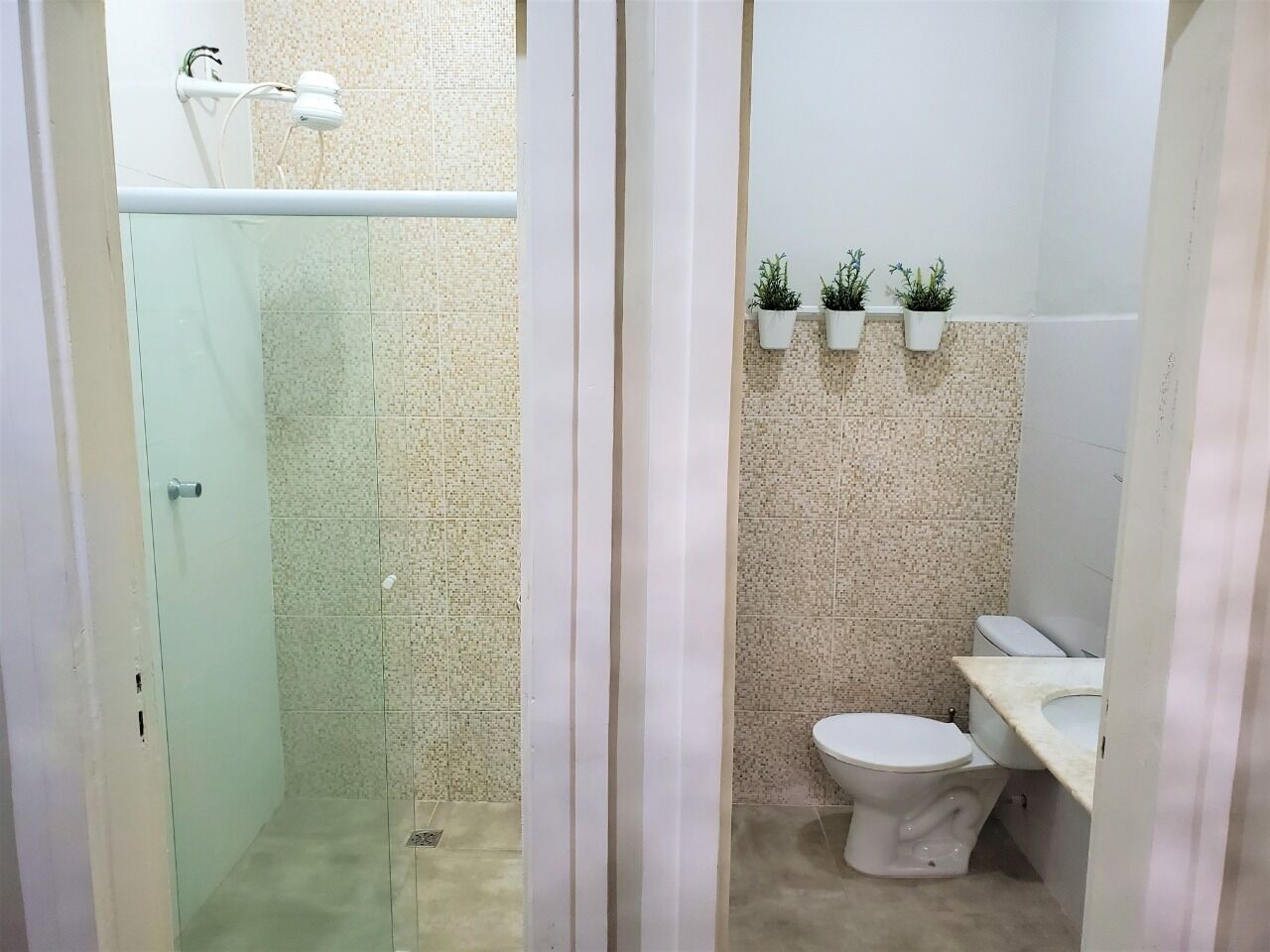 A bathroom with a glass shower enclosure, a toilet, and a sink. There are three potted plants on the wall above the toilet.