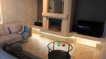 Smart-tv, een open haard, boeken en een muziekbibliotheek