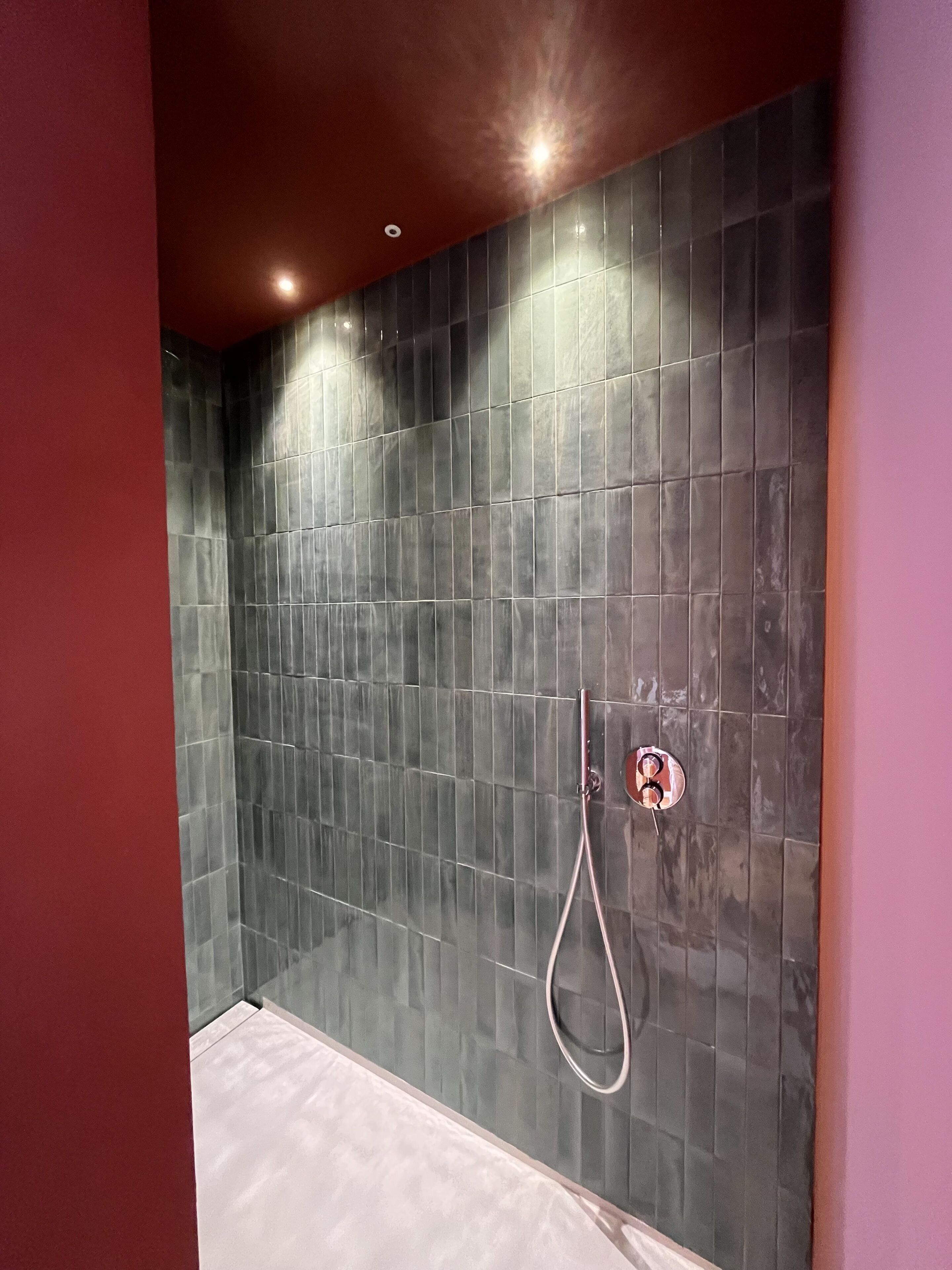 Un baño moderno con paredes de baldosas oscuras, una ducha con cabezal de ducha de mano y un grifo de control de agua visible.