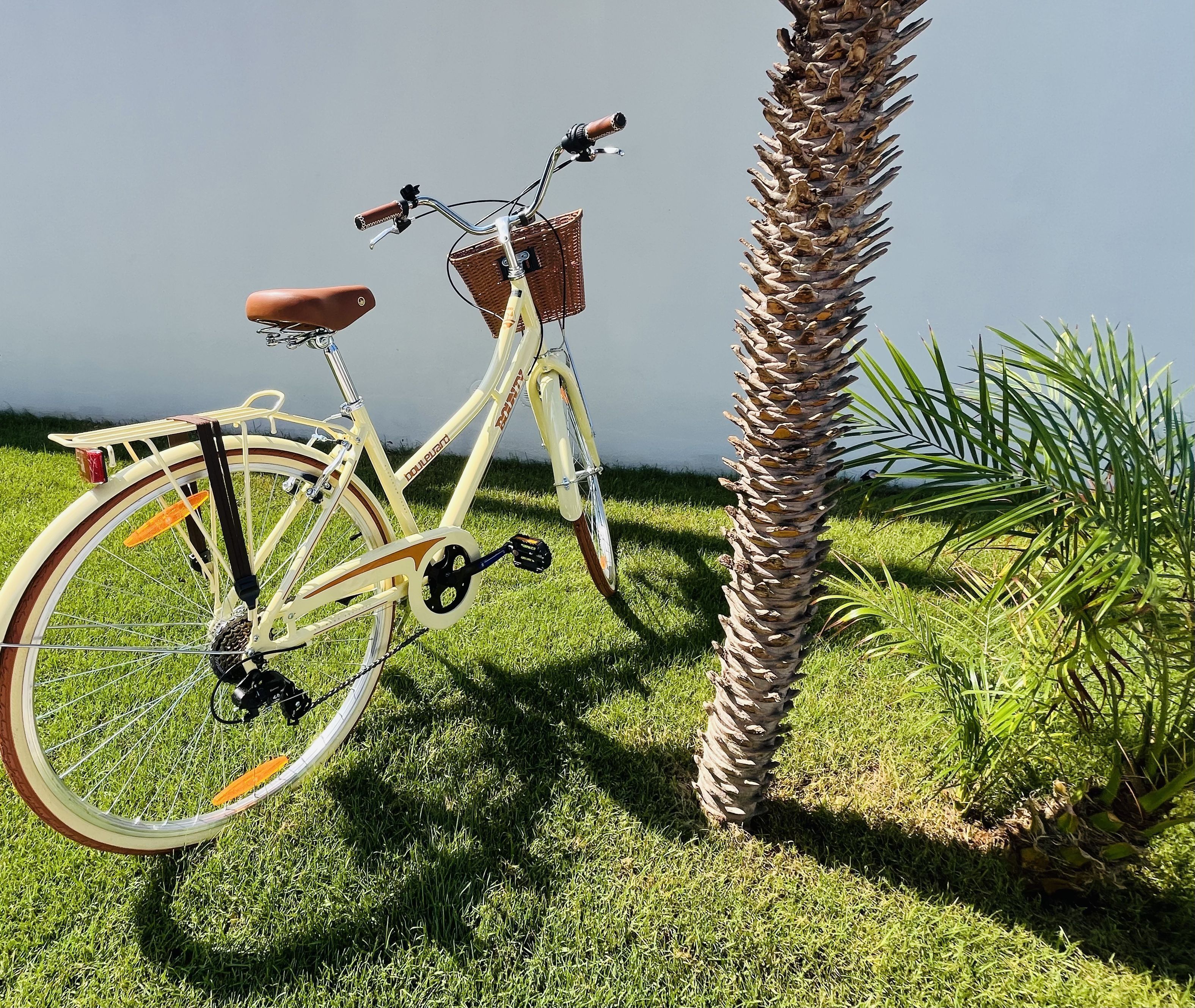 A bicycle parked next to a palm tree in a grassy area.