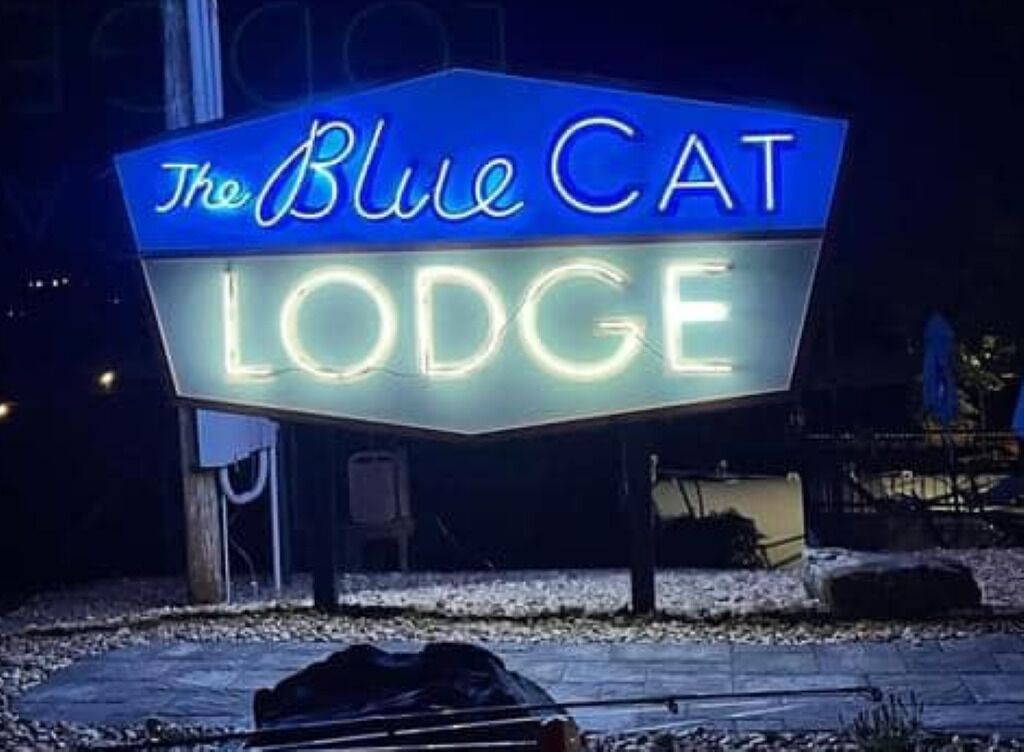 Ein leuchtendes Neon-Schild für 'The Blue Cat Lodge' mit gut leserlicher Schrift.