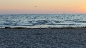 A beach with waves and seagulls. - Premium vacation apartment Alter Sandweg incl. beach chair  (Scharbeutz)