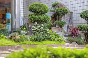 Un jardín ajardinado con diversas plantas y una formación rocosa.