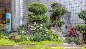A landscaped garden with various plants and a small water feature in front of a building. - Overseas Chinese Hotel (Nan'an)