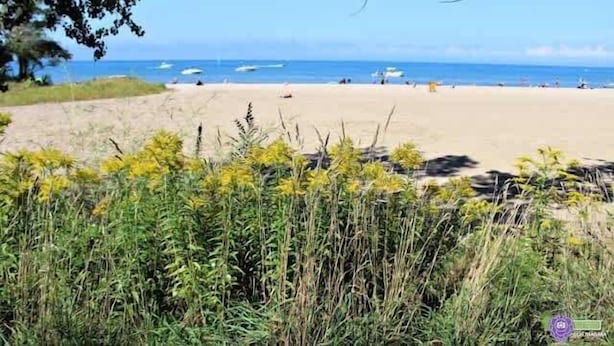 A beach with sand, sparse vegetation, and a clear sky. - Sunset Beach House - Remodeled - 1 block to beach (St. Catharines)