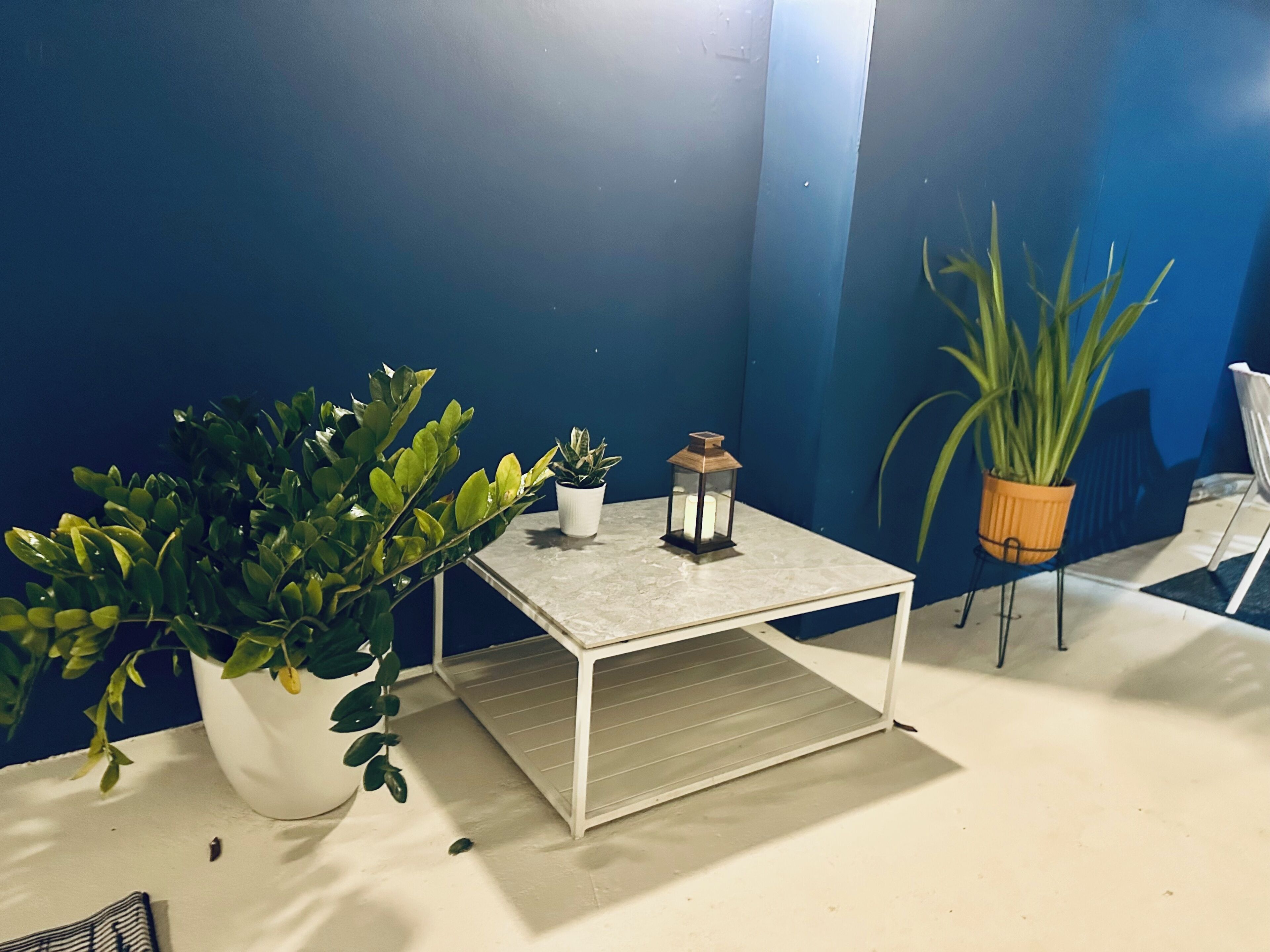 A small white table with a lantern and a potted plant on it, against a blue wall.