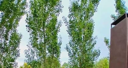La Divina Pereza Eco
