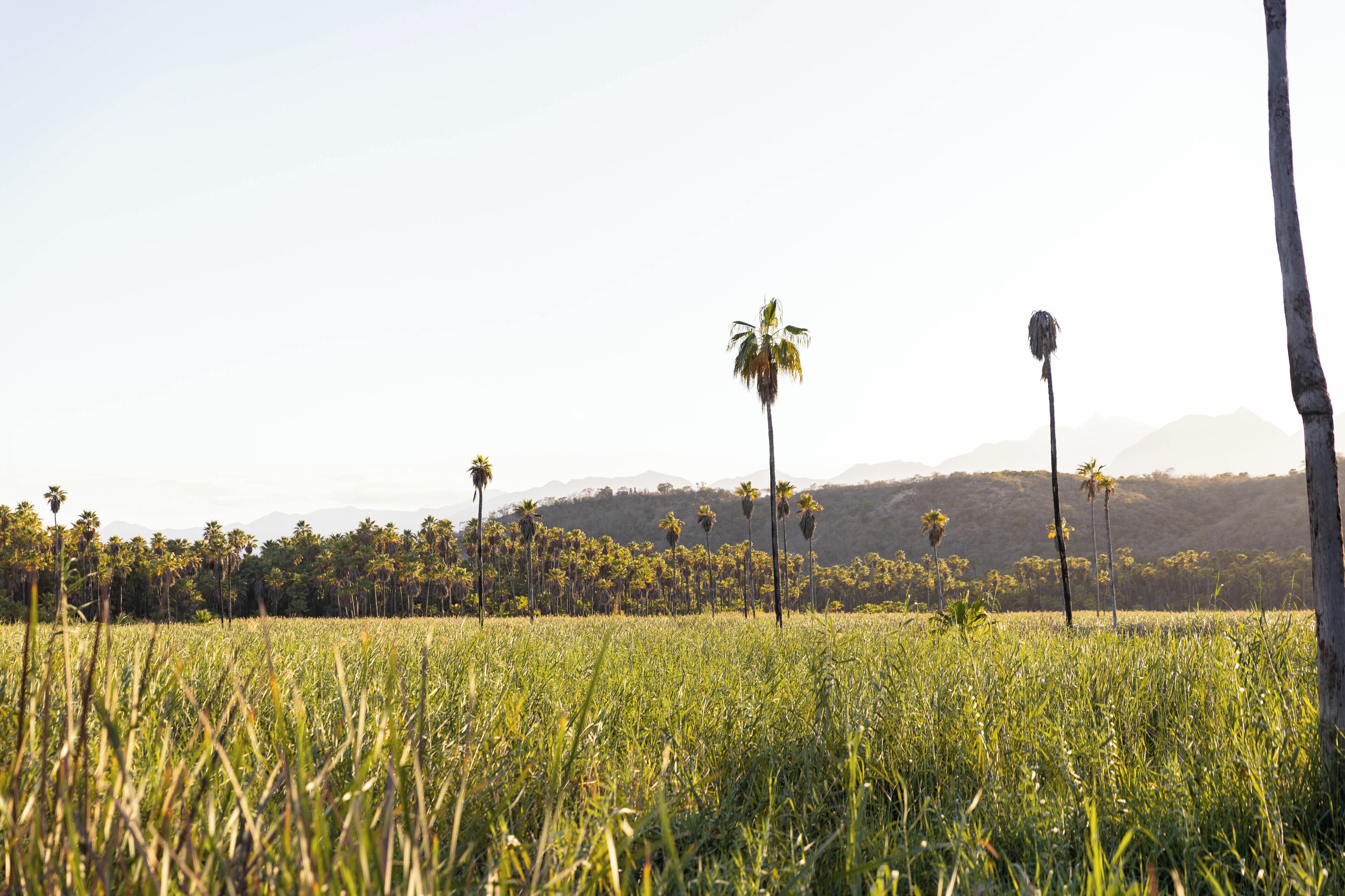 إطلالة الغرفة