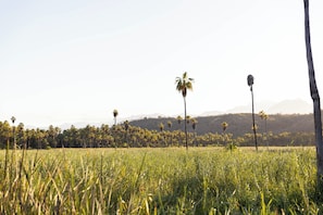 Aqua Luxury Tents | View from room - Amet Nature Retreat (Santiago)