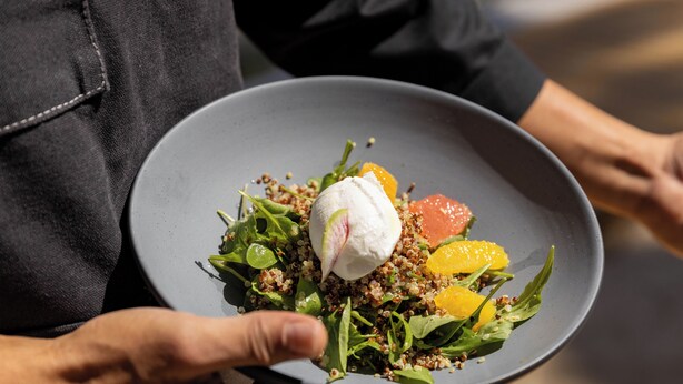 A person holding a plate with a salad, including greens, quinoa, and a poached egg. - NEST Los Cabos (Santiago)
