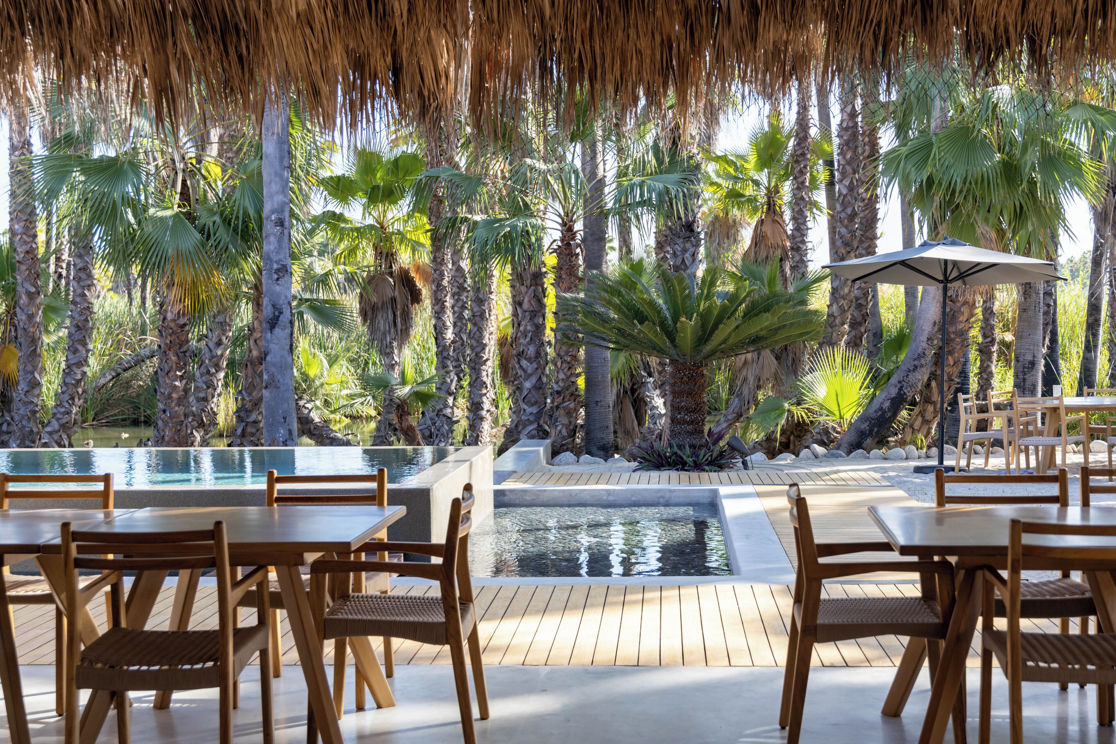 An outdoor dining area with wooden tables and chairs, surrounded by palm trees and a water feature.