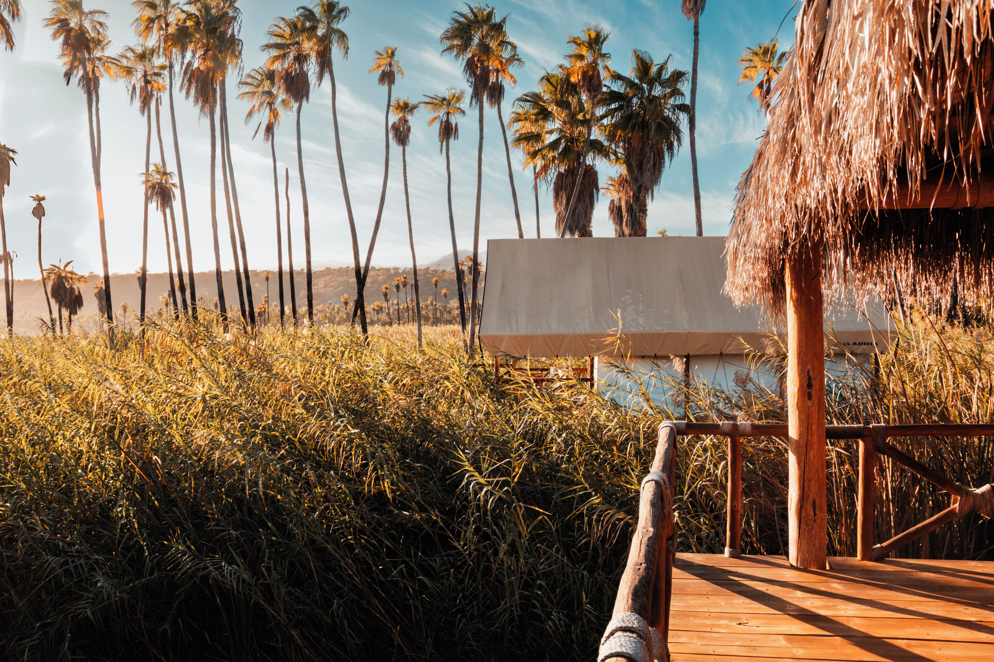 Aqua Luxury Tents | View from room