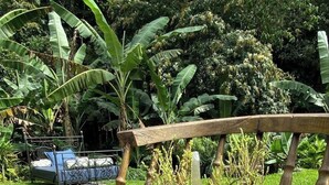 Un jardín con un banco de madera, plantas en macetas y una variedad de piedras y cristales sobre el banco.