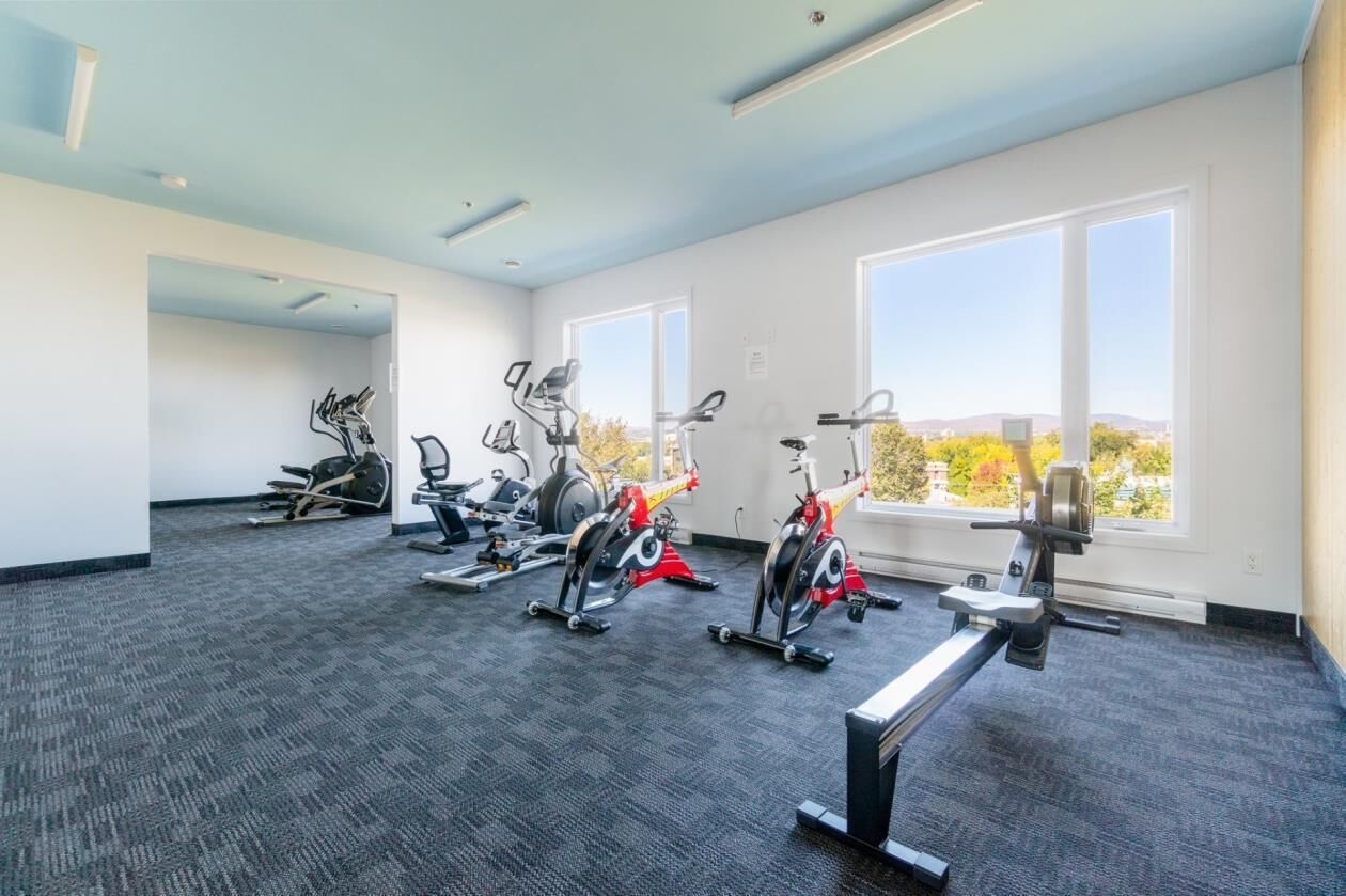 Ein Fitnessstudio mit Laufbändern, großen Fenstern und Teppichboden.