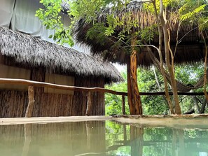 Pool - Huge full private villa in front of virgin bay (Arroyo Cruz)