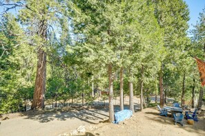 Surrounded by tall pine trees, this serene campsite offers a space for dining or socializing.