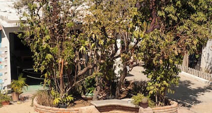 Peace Hostel Mx
