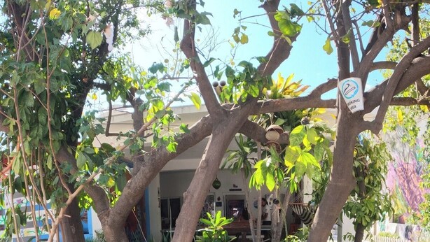 Un espace aménagé en jardin, avec un banc en béton, des plantes en pot et un panneau indiquant une zone où le stationnement est interdit.