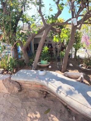 Exterior - Peace Hostel Mx (La Paz)