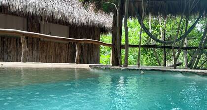 New Amazing room in a Tree house at a superb bay!