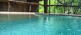 New Amazing room in a Tree house at a superb bay!