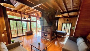 Un salon spacieux doté de parquets en bois, d’une cheminée en pierre et de grandes fenêtres offrant une vue sur l’extérieur.