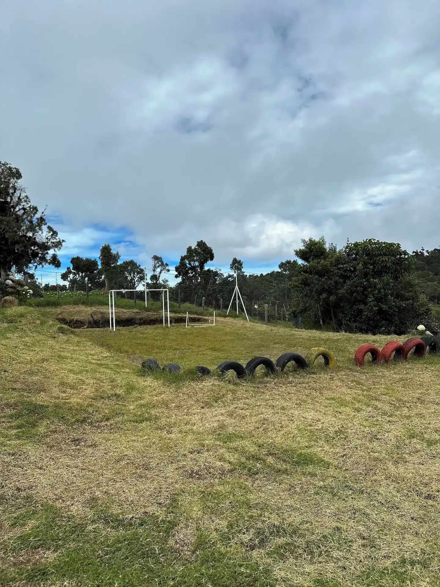 A grassy field with a fence, trees, and a cloudy sky.