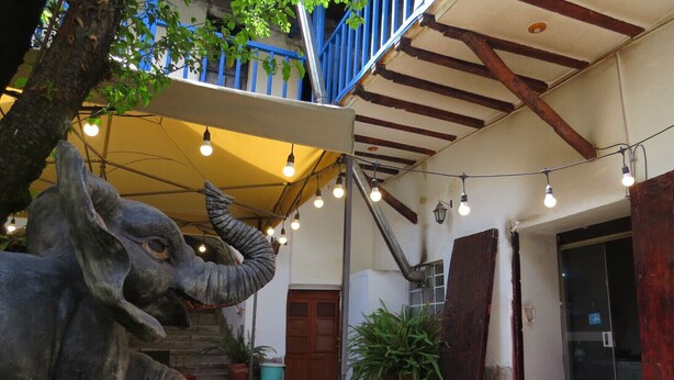 Un patio con una estatua de elefante, un área de estar cubierta con luces colgantes y plantas en macetas.