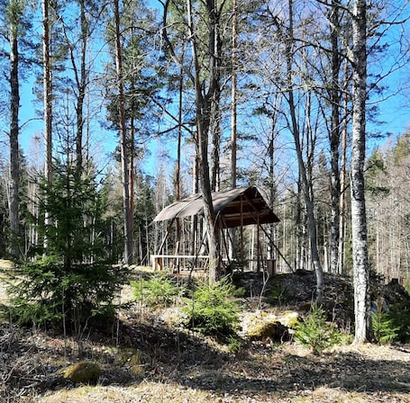 Property grounds. Rosa's Stuga, a lovely house for two people in the middle of beautiful nature.