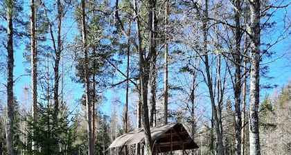 Rosa's Stuga, a lovely house for two people in the middle of beautiful nature.