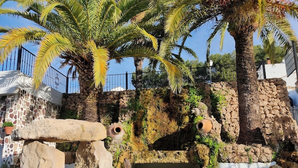 A garden with palm trees, a stone wall, and a small pond. - Beautiful views of the Sierra de Grazalema, ideal to enjoy and disconnect. (Montecorto)
