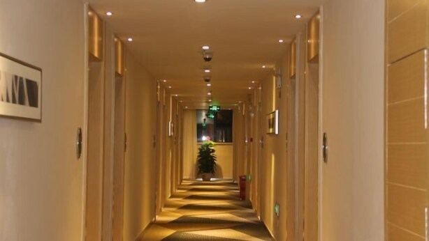 A hotel corridor with a carpeted floor, doors on both sides, and a plant in the center. - Mingdu Hotel (Ningming)