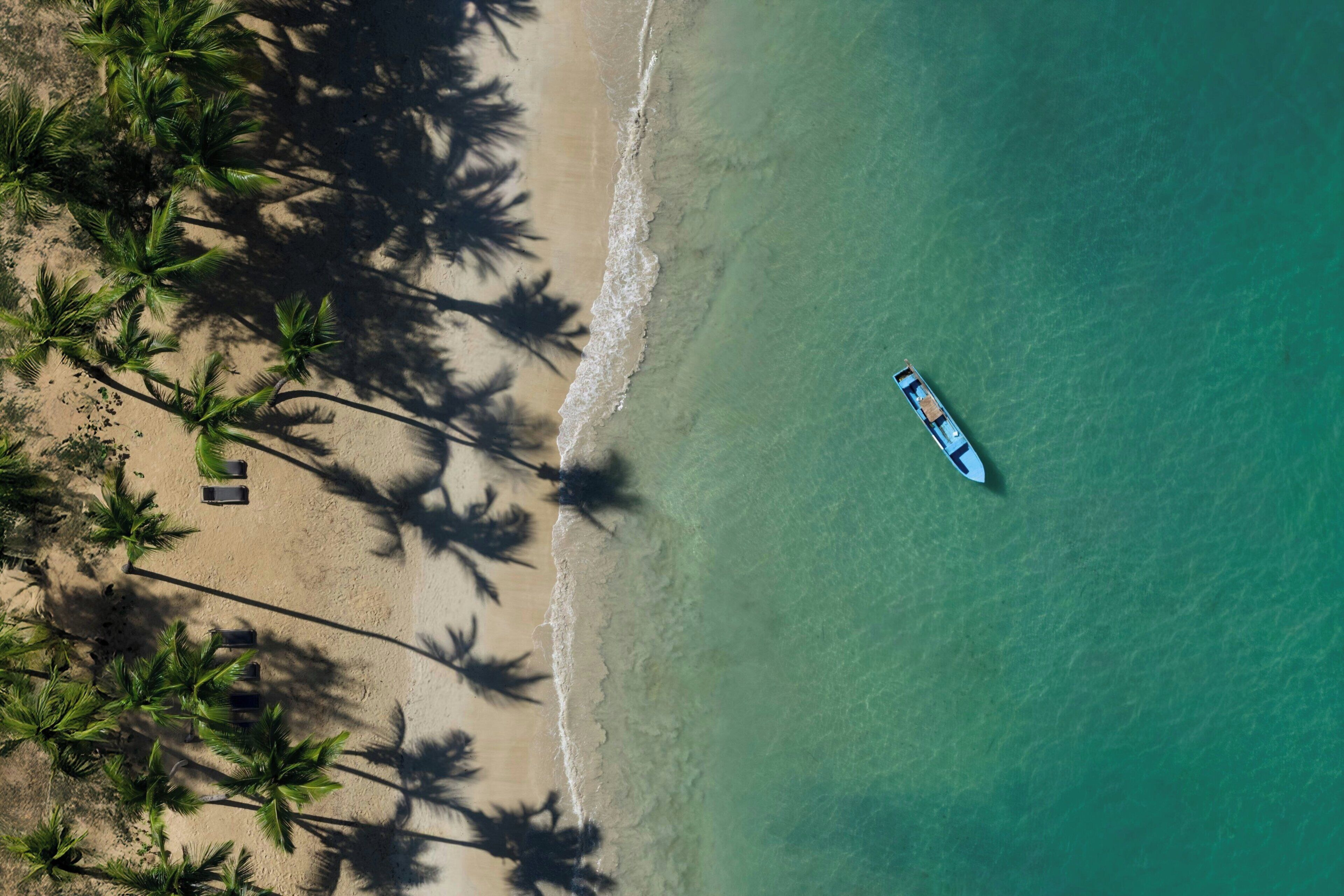 Vista aérea de una playa con palmeras y un bote.