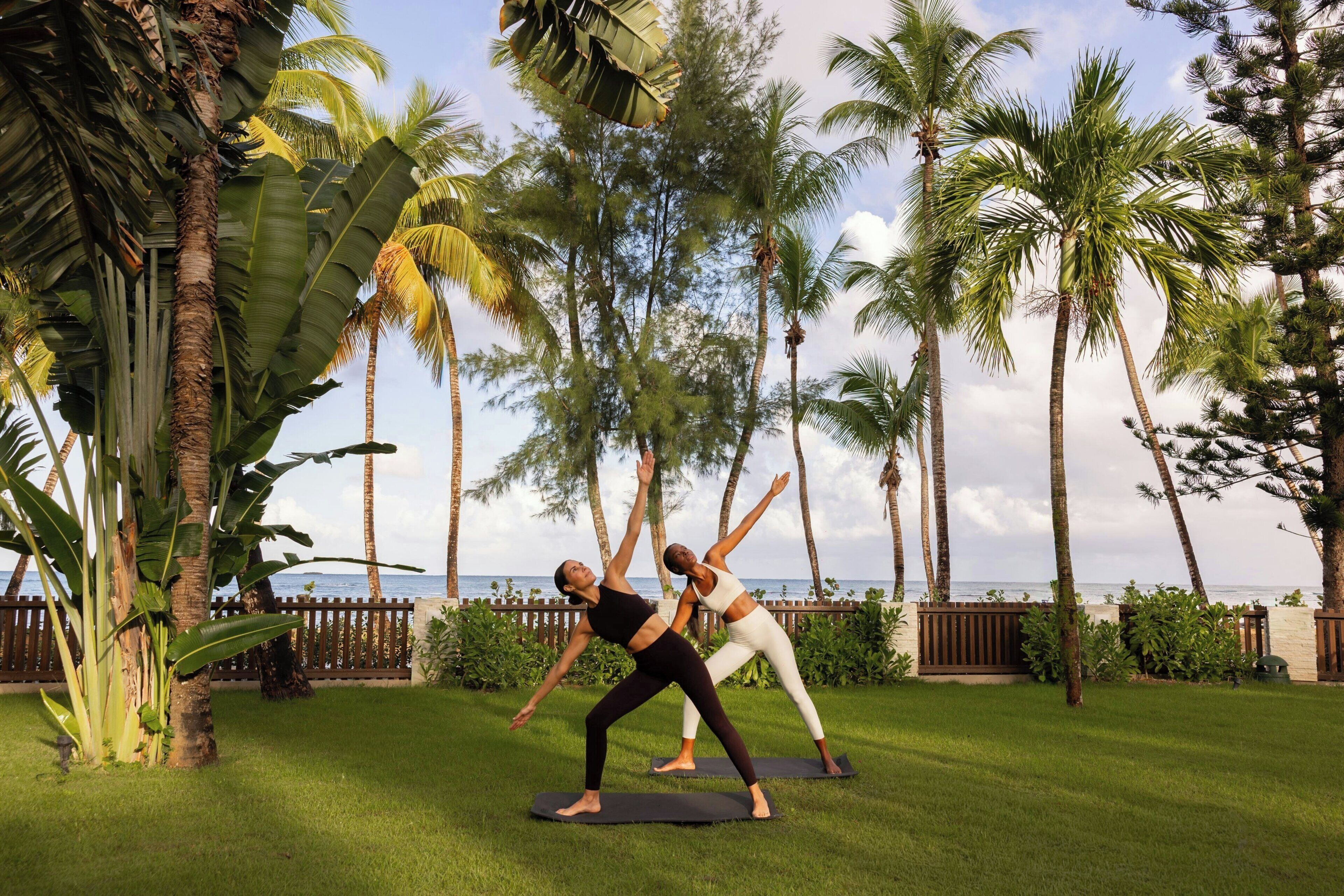 Two people practicing yoga on mats in a grassy area with palm trees and a wooden fence in the background.