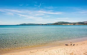 Beach - Amazing apartment in Alghero with house sea view (Alghero)
