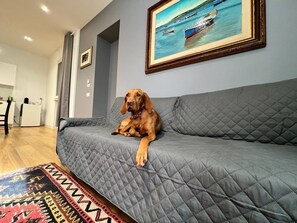 منطقة المعيشة